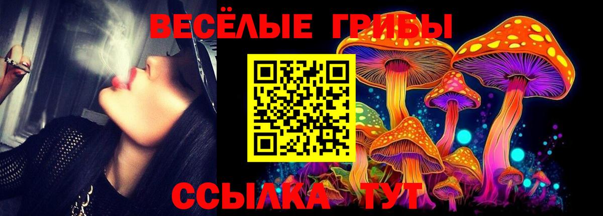 Псилоцибиновые грибы Magic Shrooms  Вход с VPN  Псилоцибиновые грибы мухоморы  Ульяновск 